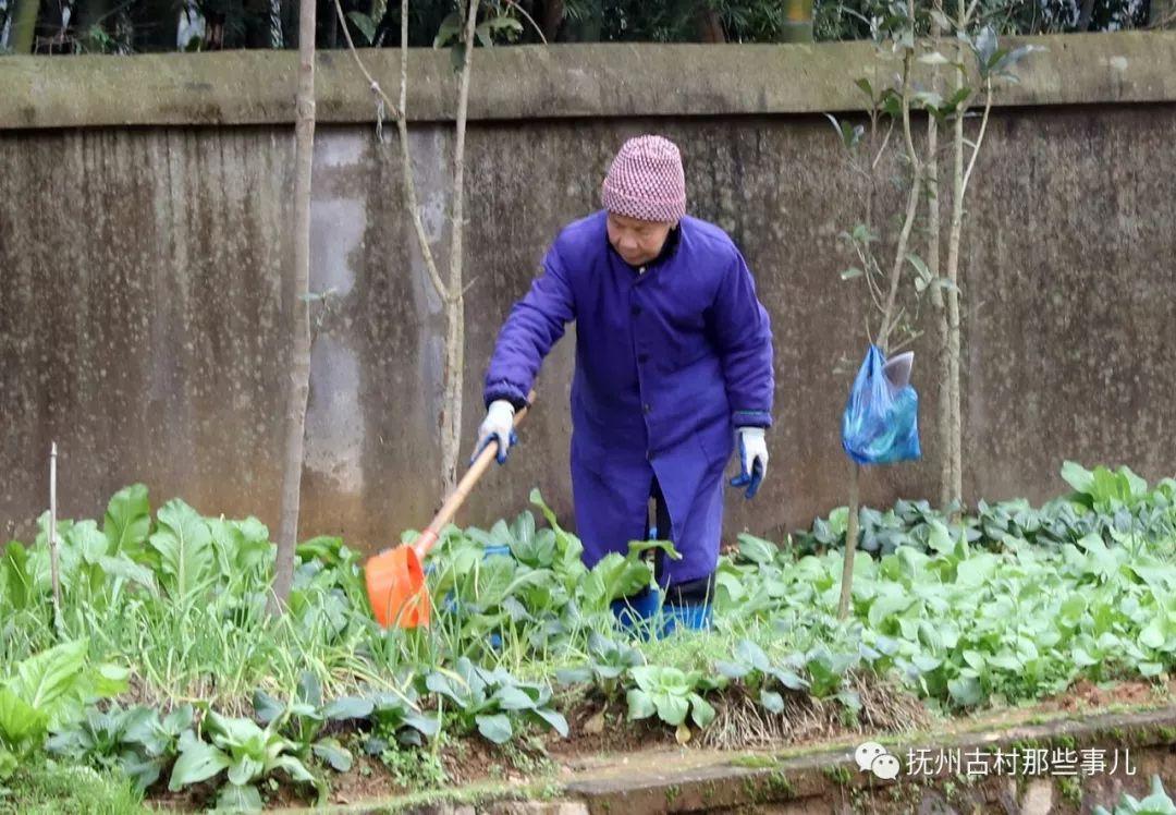 江西有座绝密军工城，开采“玫瑰花”，储量亚洲最大，旧址成空城（时代变迁，请记住这座功勋卓著的——721矿（下））-第50张图片-拓城游