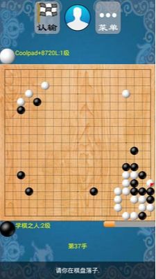 欢乐围棋游戏介绍（浙江省首届家庭围棋嘉年华活动在衢州举行）