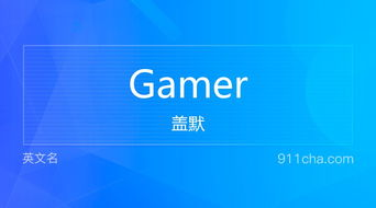 gamer是什么意思？（电子竞技公司Gamer Pakistan上市：市值5704万美元）