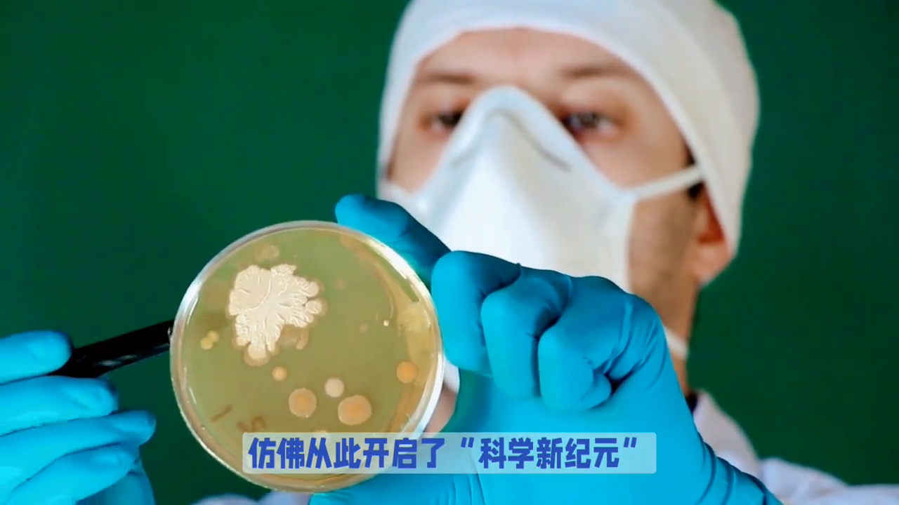 微生物模拟器技能在几关（奇妙微世界 养的故事#微生物模拟器）-第4张图片-拓城游