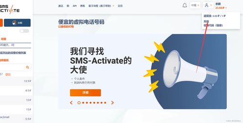 smsactivate安全吗（sms-activate-虚拟在线号码）