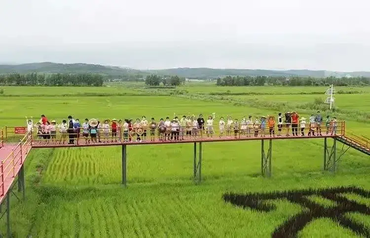 定制旅游路线：从头至尾完美旅行计划（不负好春光！13款定制旅游线路伴你玩转“五一”！）-第20张图片-拓城游