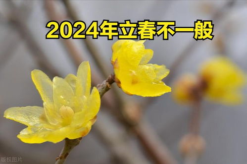 今天几号立春,2024年立春是什么时间（2024年立春具体时间 几月几日几点几分打春）