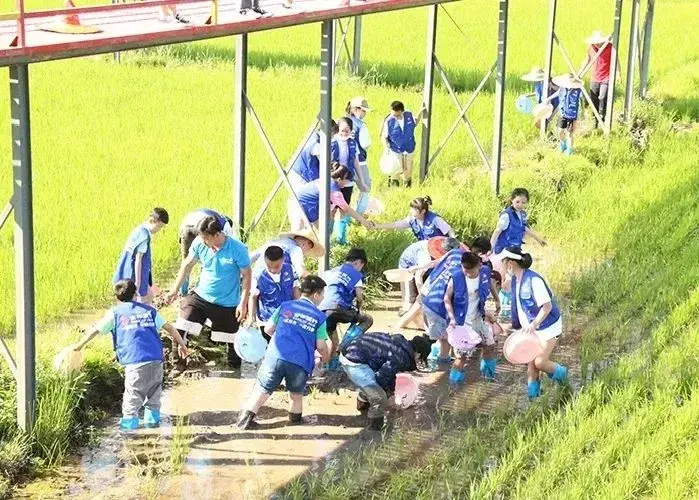 定制旅游路线：从头至尾完美旅行计划（不负好春光！13款定制旅游线路伴你玩转“五一”！）-第21张图片-拓城游