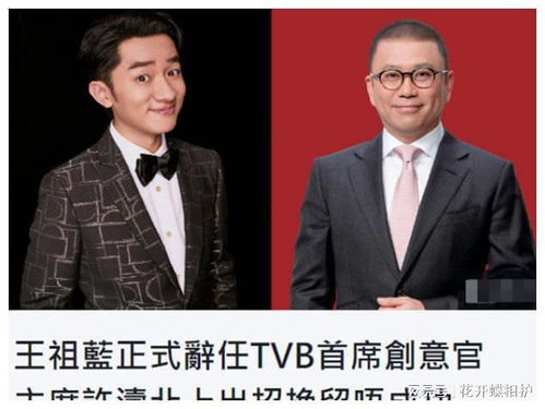 王祖蓝已经正式辞去TVB首席创意官一职，为何仅仅上任一年就辞职了？（TVB高层王祖蓝疑因内斗辞职！为回巢损失内地上亿收入，上任仅1年）