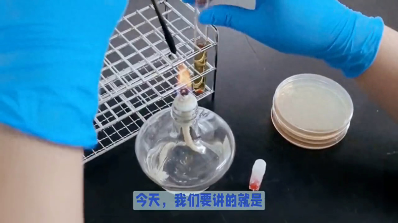 微生物模拟器技能在几关（奇妙微世界 养的故事#微生物模拟器）-第2张图片-拓城游