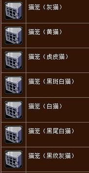 WOW趣味性物品有哪些？（魔兽世界（WOW）中那些奇奇怪怪的武器）