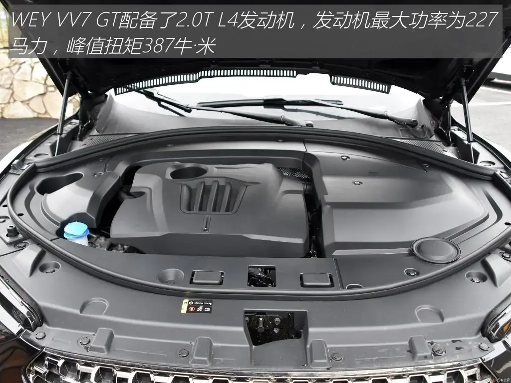 “HGT”是指哪种基因转移方式？（WEY VV7 GT：中国品牌SUV回头率天花板？坦克300也得服气）-第20张图片-拓城游