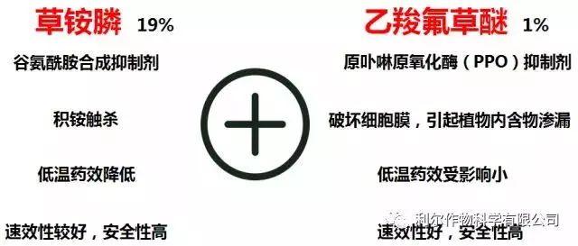 雷克顿皮肤鉴赏（雷克顿——为改变而来！）-第6张图片-拓城游