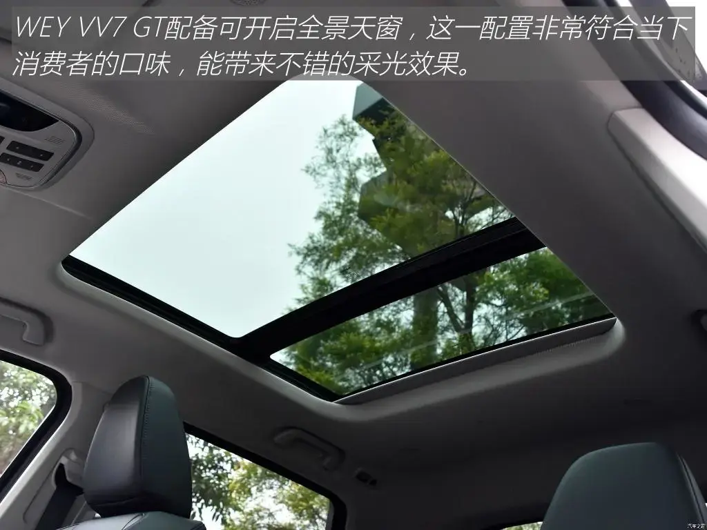 “HGT”是指哪种基因转移方式？（WEY VV7 GT：中国品牌SUV回头率天花板？坦克300也得服气）-第15张图片-拓城游