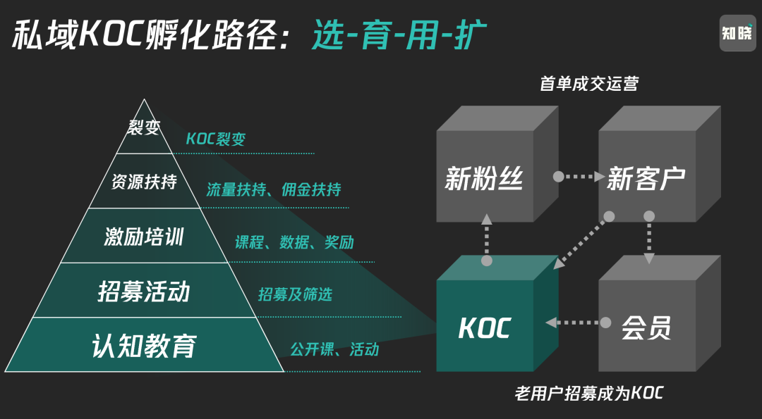 新传考研名词解释之 | KOC（1万字讲透私域KOC体系，爆改全域运营思路）-第10张图片-拓城游