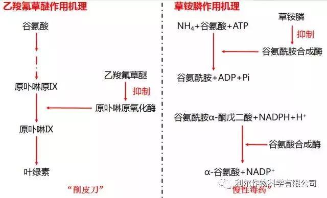 雷克顿皮肤鉴赏（雷克顿——为改变而来！）-第5张图片-拓城游