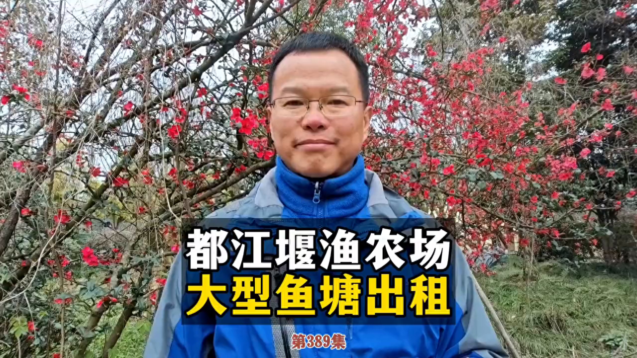 动物餐厅鱼塘招租攻略（都江堰渔农场，大型鱼塘出租！ #鱼塘出租）-第2张图片-拓城游