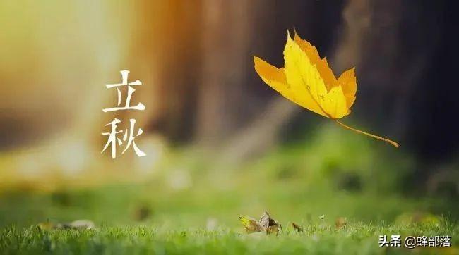 立秋节气的寓意和传统有哪些？你了解多少？（今日立秋，5个关于立秋的民俗，个个寓意都很特别，你了解多少？）-第2张图片-拓城游