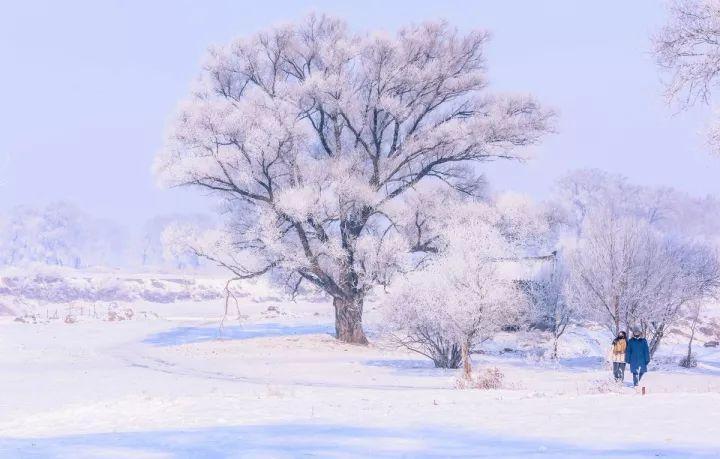 xlei：一位百变程序员的成长之路（一场雪后，方知素颜的中国有多美！）-第32张图片-拓城游