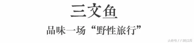 银头鲑鱼在哪钓（加拿大BC省野生三文鱼：粉鲑、银鲑、王鲑等，滑嫩肥鲜回味无穷）-第2张图片-拓城游