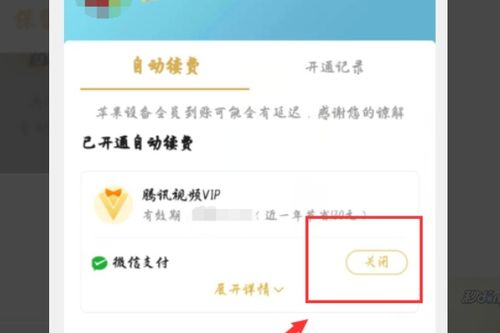 chiccam怎么取消自动续费？（美图CEO吴欣鸿：两年做了13款AI应用，我们都踩了哪些坑？| 36氪专访）