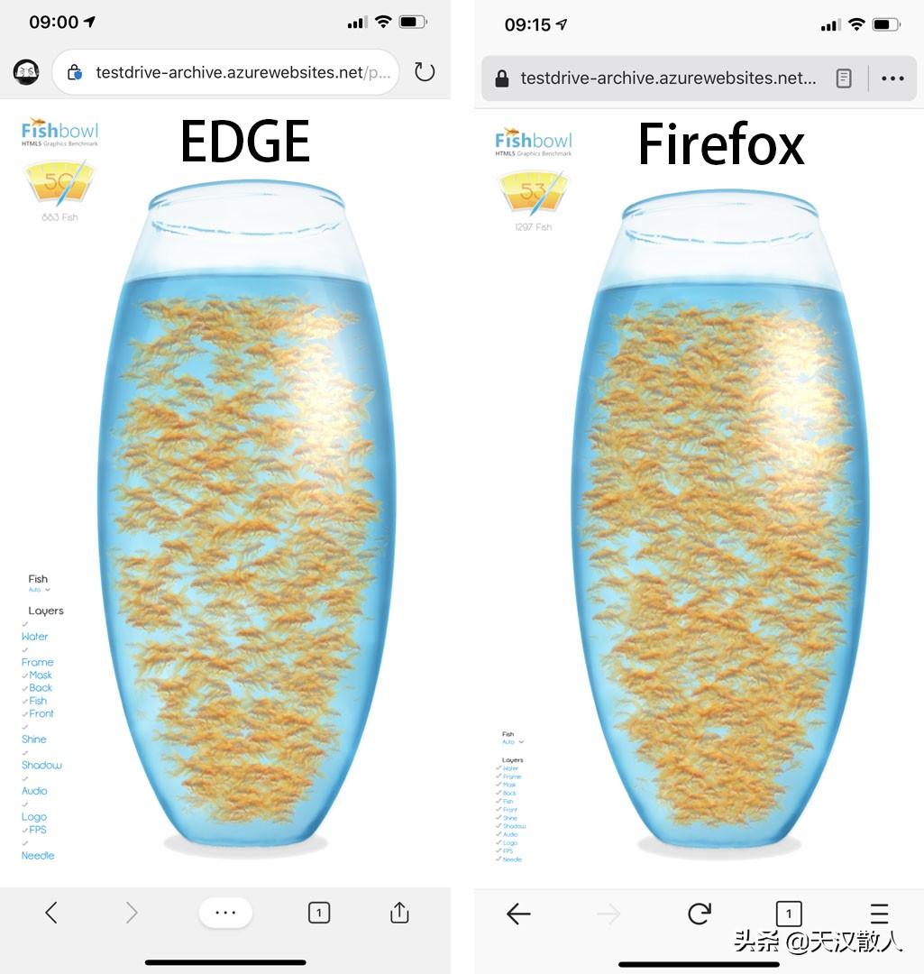 html5fishbowl网址（浏览器养鱼哪家强？来试试你的手机性能如何）-第3张图片-拓城游