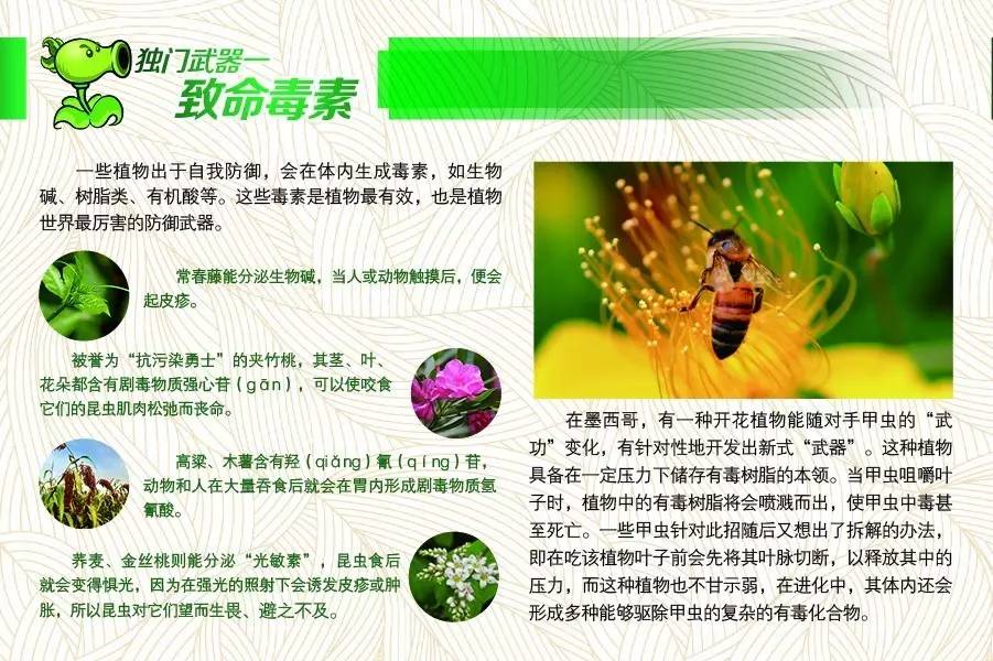 植物保卫战怎么玩（「图解科学」植物保卫战）-第2张图片-拓城游