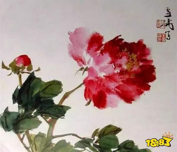 目前我国结婚证上的花是什么（你知道吗？结婚证里有花）