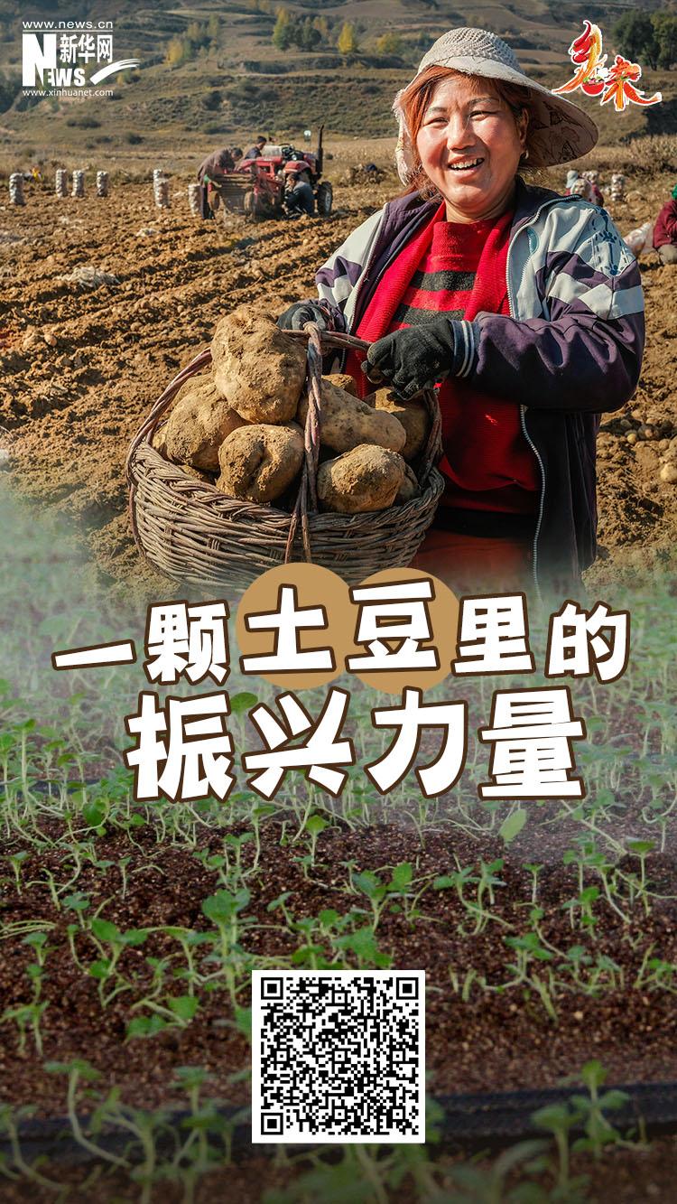 一品鲍换名字了?（乡味丨一颗土豆里的振兴力量）-第2张图片-拓城游