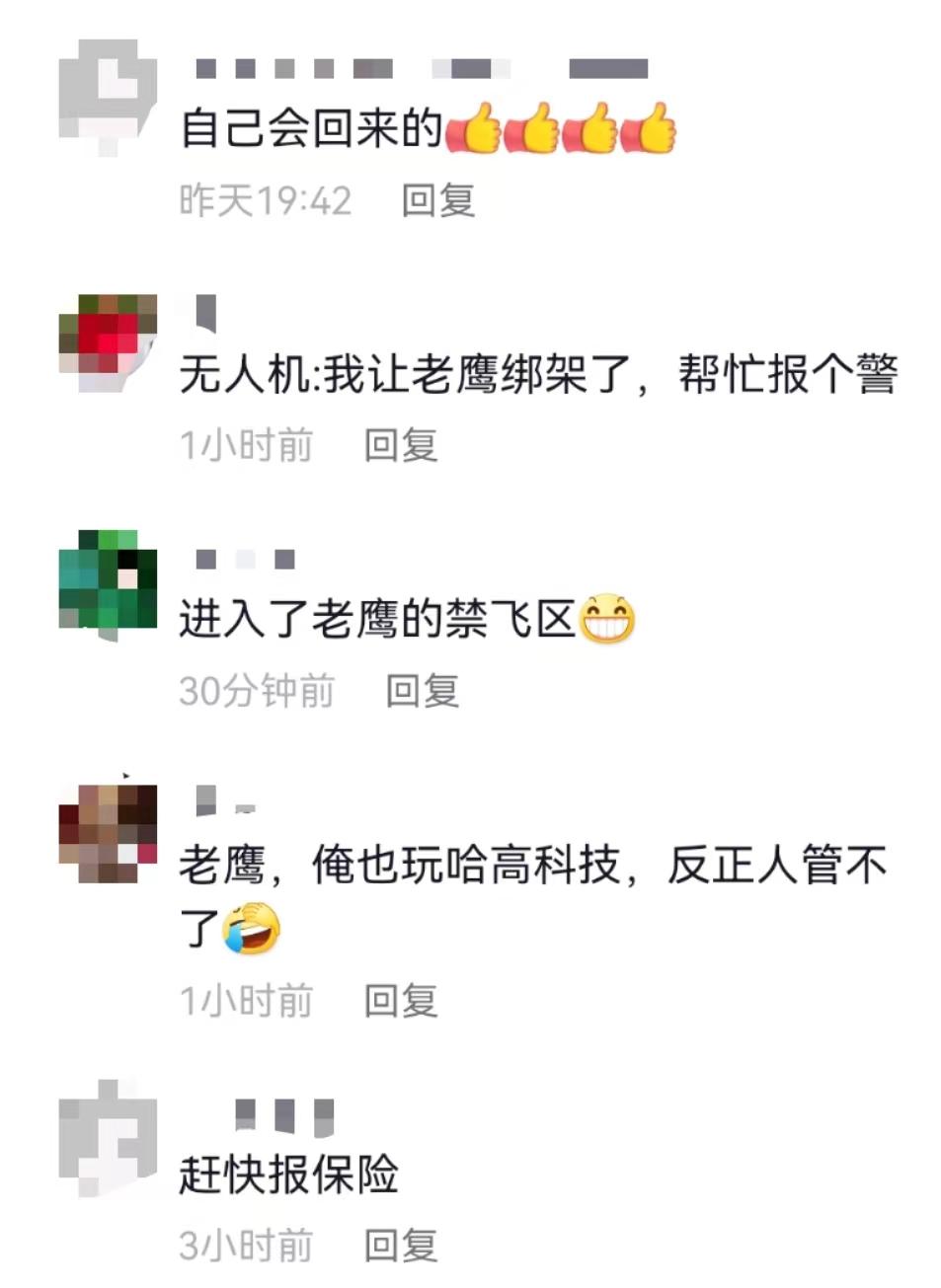 训练老鹰抓无人机有前途吗？（笑哭！男子在张家界一景区飞无人机，无人机竟被老鹰叼走了）-第3张图片-拓城游