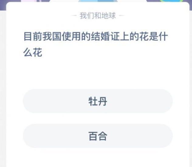 目前我国结婚证上的花是什么（目前我国使用的结婚证上的花是什么花？牡丹还是百合）-第2张图片-拓城游
