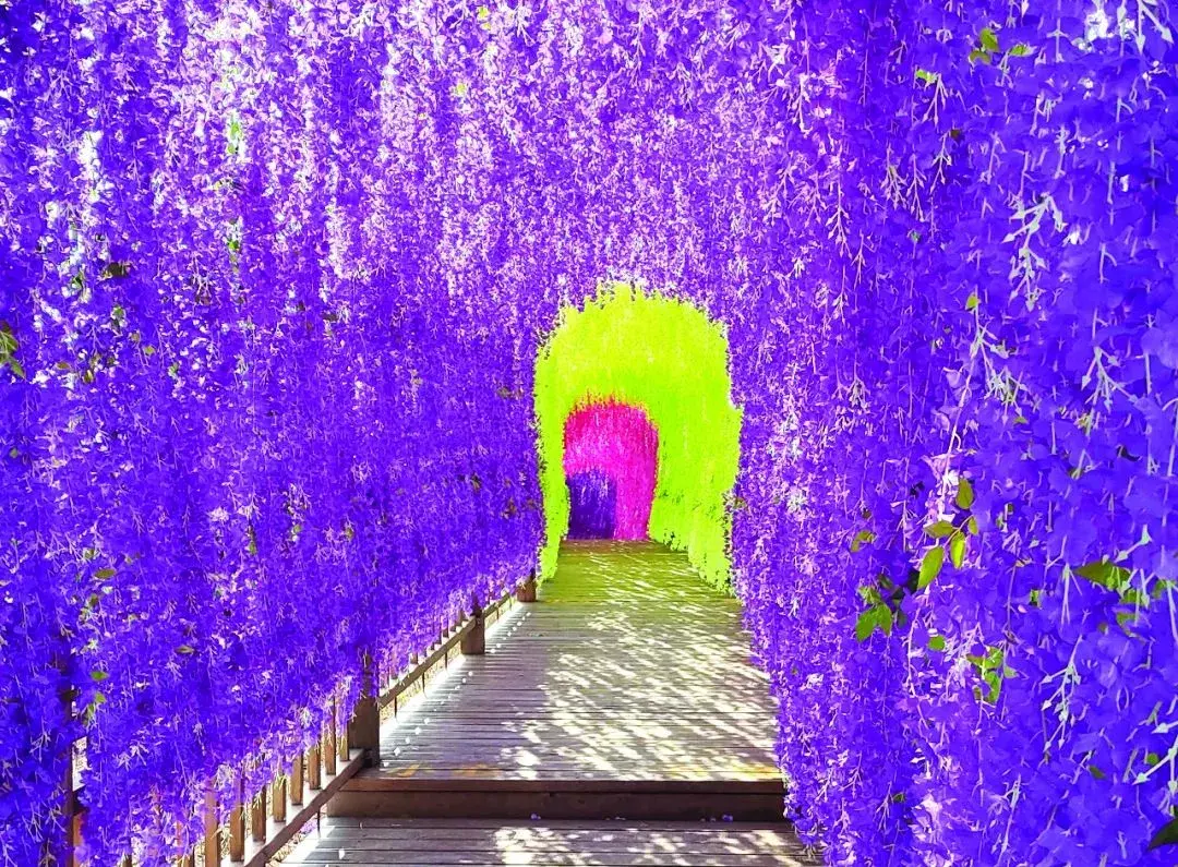 定制旅游路线：从头至尾完美旅行计划（不负好春光！13款定制旅游线路伴你玩转“五一”！）-第6张图片-拓城游