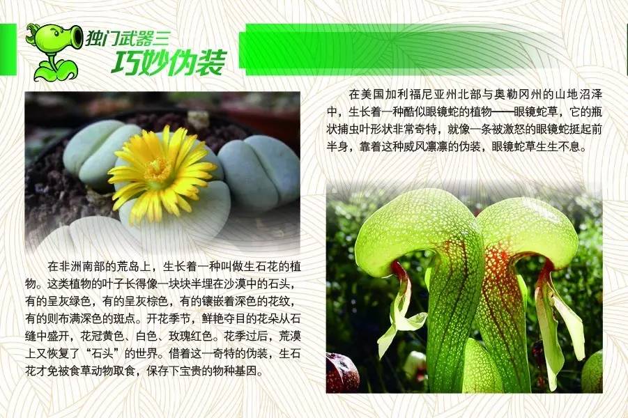 植物保卫战怎么玩（「图解科学」植物保卫战）-第4张图片-拓城游