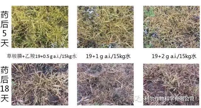 雷克顿皮肤鉴赏（雷克顿——为改变而来！）-第8张图片-拓城游