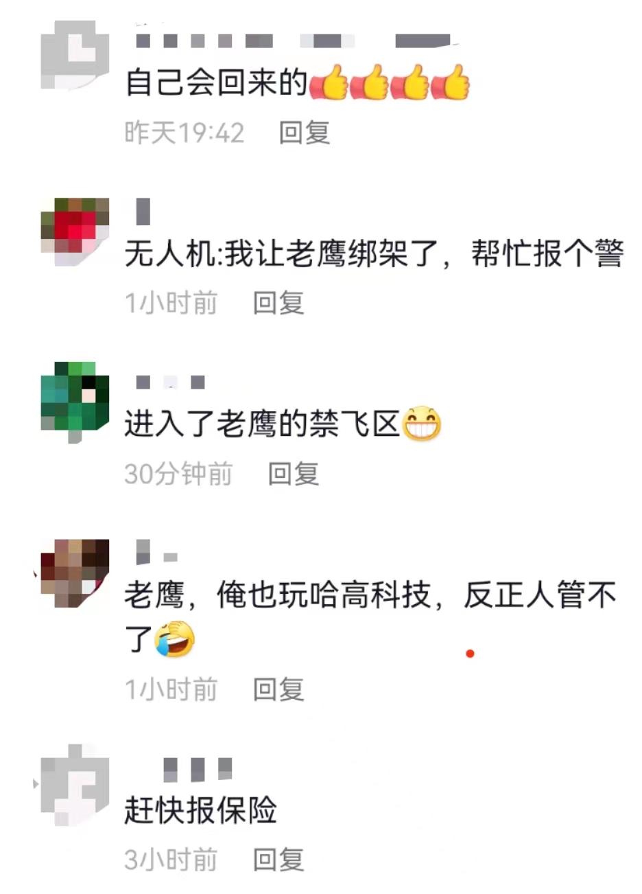 训练老鹰抓无人机有前途吗？（笑哭！男子在张家界一景区飞无人机，无人机竟被老鹰叼走了）-第4张图片-拓城游