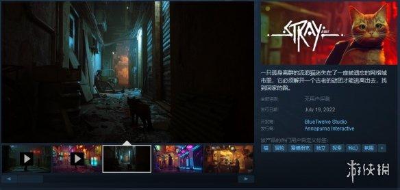 冒险猫怎么通关（猫咪冒险游戏《迷失》steam开启预售 独立游戏Stray发售日）-第2张图片-拓城游