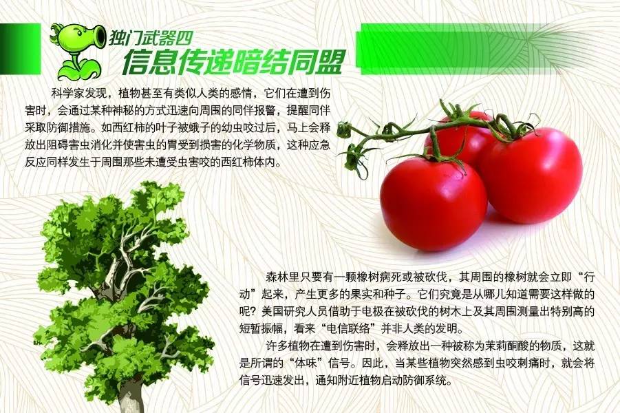 植物保卫战怎么玩（「图解科学」植物保卫战）-第5张图片-拓城游