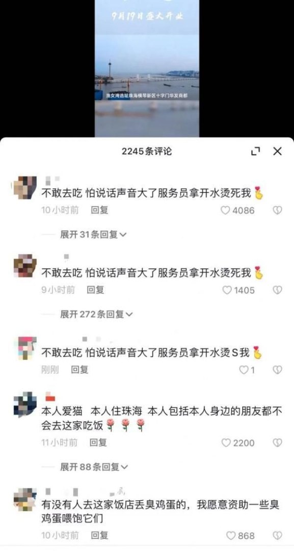 动物餐厅记者怎么摆花（女子救下被泼开水猫崽，当事人、事发餐厅及相邻餐厅均被网暴）-第3张图片-拓城游