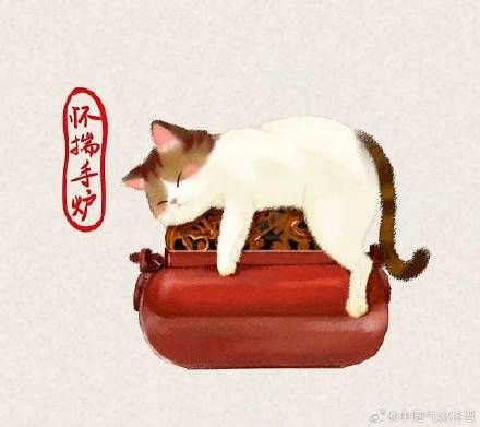 猫冬的意思（猫冬是像猫一样过冬吗？）-第4张图片-拓城游