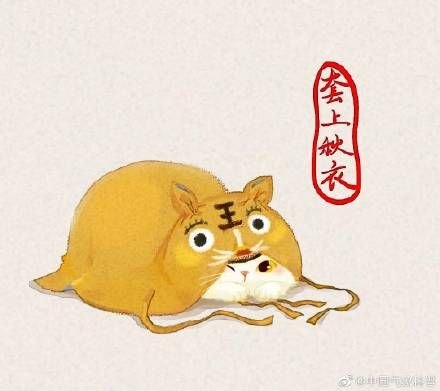 猫冬的意思（猫冬是像猫一样过冬吗？）-第6张图片-拓城游