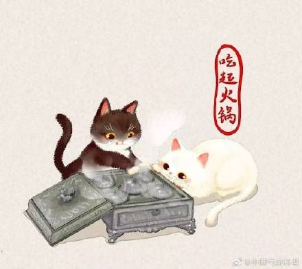 猫冬的意思（猫冬是像猫一样过冬吗？）-第7张图片-拓城游