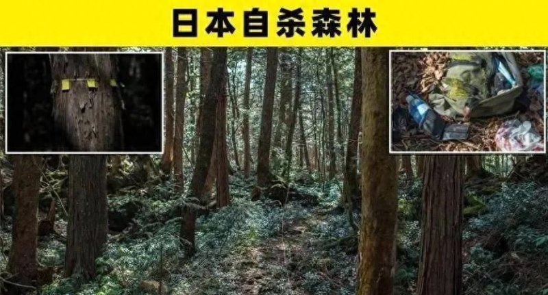 疯狂游戏这个公司怎么样（疯狂游戏：奇幻少女、黑暗谜团、明星沉浸）-第10张图片-拓城游