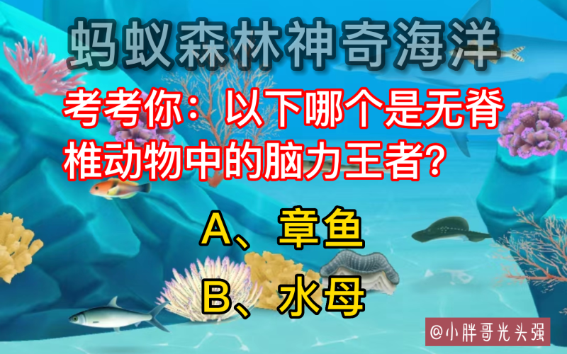 章鱼和水母哪个是无脊椎动物中的脑力王者（考考你：以下哪个是无脊椎动物中的脑力王者？蚂蚁森林神奇海洋）-第2张图片-拓城游