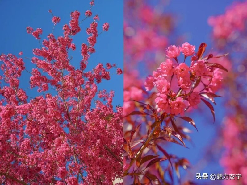 手机qq农场在甸中小菜园邀你沉浸式体验(田间的风吹到了你的身边)-第5张图片-拓城游