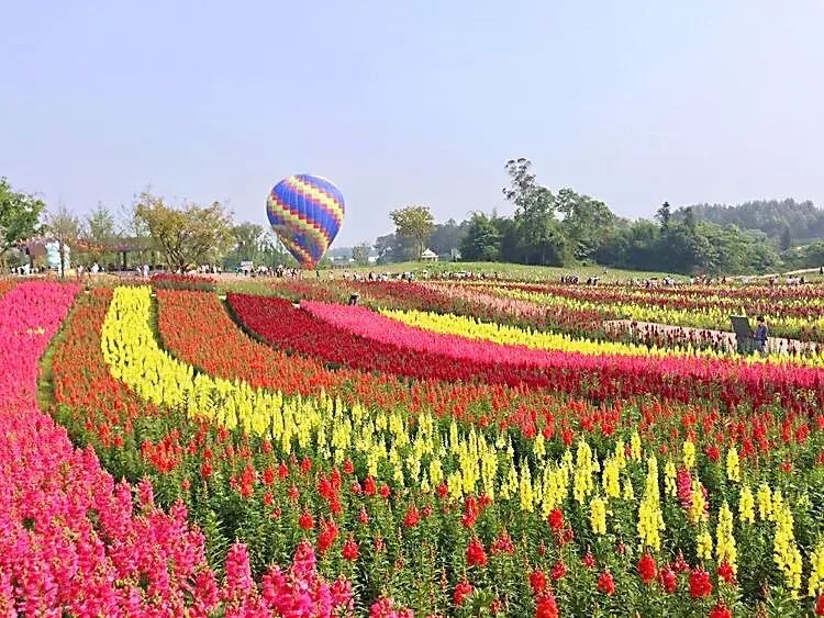 摩尔庄园手游花香金鱼：打造繁荣昌盛之吉祥花卉金鱼草的食谱与制作方法-第14张图片-拓城游