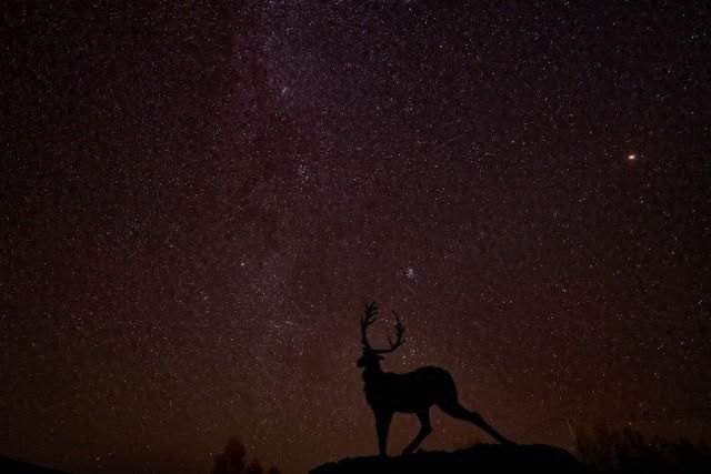 失落的星球1黑屏闪退(科学的尽头是玄学)-第2张图片-拓城游