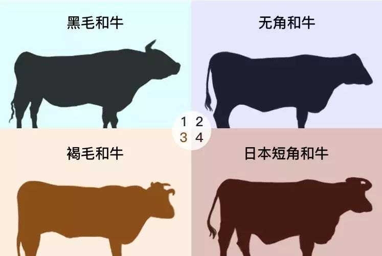 为什么日本和牛越来越贵？它到底有多好？