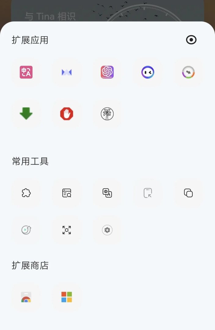 安卓手机Android如何清除浏览器中的浏览记录(手机浏览器推荐)-第10张图片-拓城游