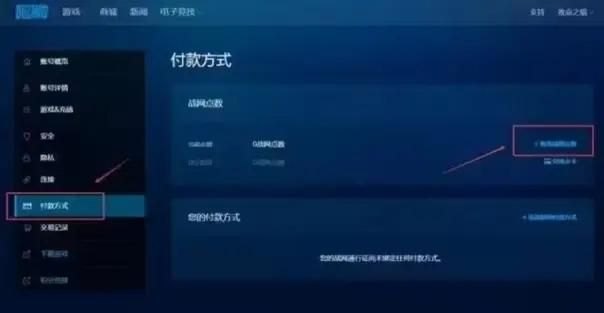 （战网充值教程  最新战网充值点数分享）-第5张图片-拓城游