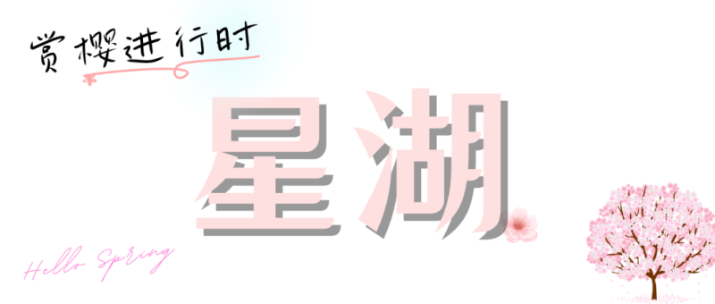 2023武汉大学早樱开放时间及湖北花界顶流：3月进入赏花期-第12张图片-拓城游