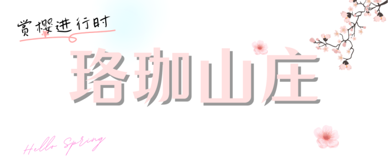 2023武汉大学早樱开放时间及湖北花界顶流：3月进入赏花期-第20张图片-拓城游