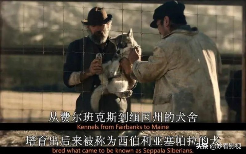 《帕拉狗》圣光术法术介绍（雪橇犬最强王者——《多哥》）-第11张图片-拓城游