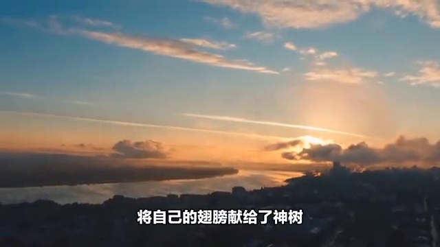 仙女的烙印：《天使的眼泪》-第4张图片-拓城游