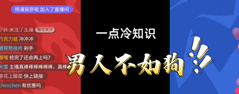 轻笔记停运后怎么找到原始文件(涉及赚钱的项目相关)-第8张图片-拓城游